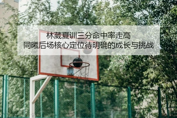 林葳夏训三分命中率走高 同曦后场核心定位待明确的成长与挑战 | JINXISPORTS